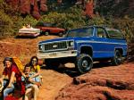 Chevrolet K5 Blazer 1973 года